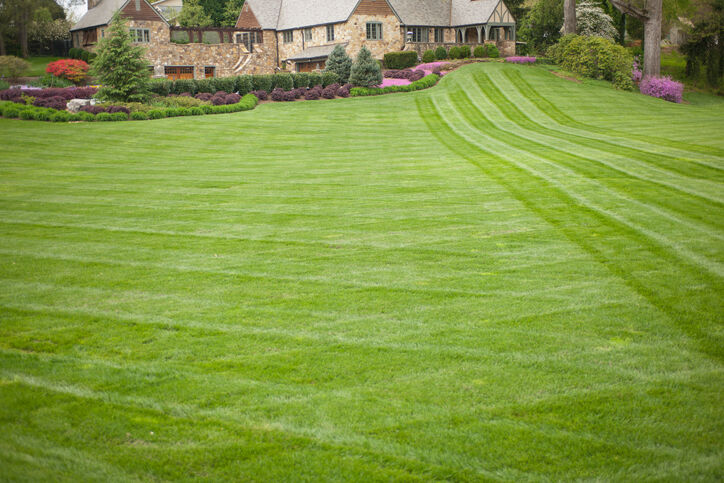 Lawn care by All Seasons Landscape.
